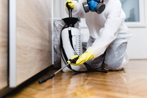 Professional Pest Control in Prince George, VA