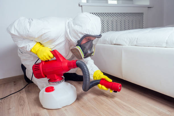 Best Affordable Pest Control Services  in Prince George, VA