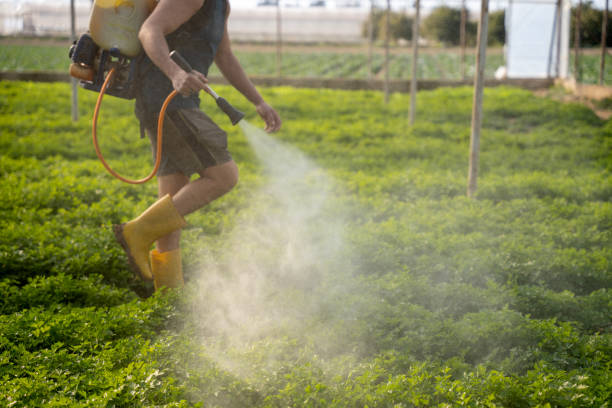 Best Affordable Pest Control Services  in Prince George, VA