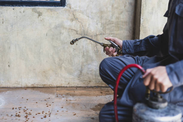Best Wasp Removal Services  in Prince George, VA